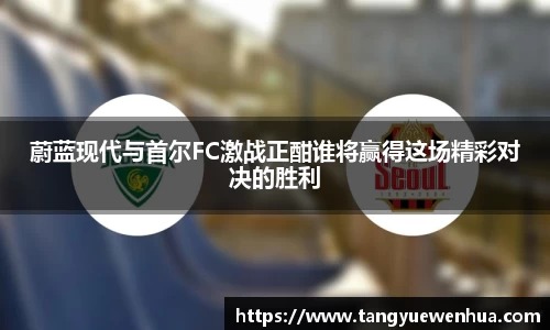 蔚蓝现代与首尔FC激战正酣谁将赢得这场精彩对决的胜利